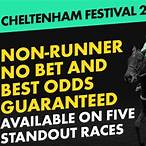 cheltenham festival who to bet on